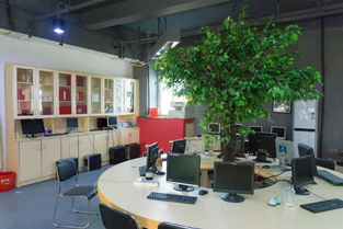 開平專屬創業空間 廣闊天地，大有可為