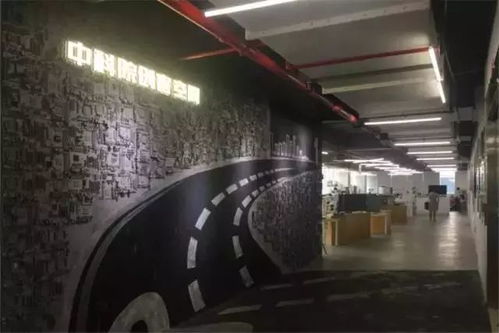 突破社交圈層，創(chuàng)業(yè)空間服務(wù)助力海歸美女主理的寵物事業(yè)新征程